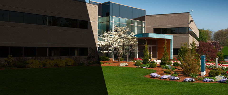 Walpole Landscapers
