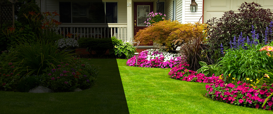 Walpole Landscapers