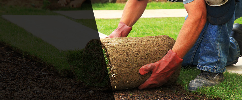 Walpole Landscapers